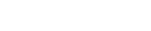Silver Lady Services